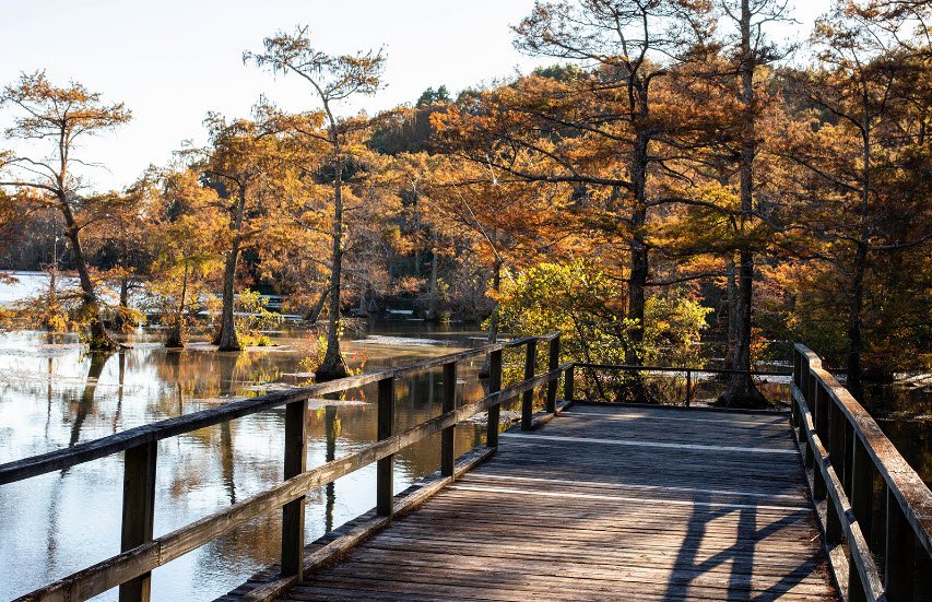 Wall Doxey State Park, Mississippi, USA